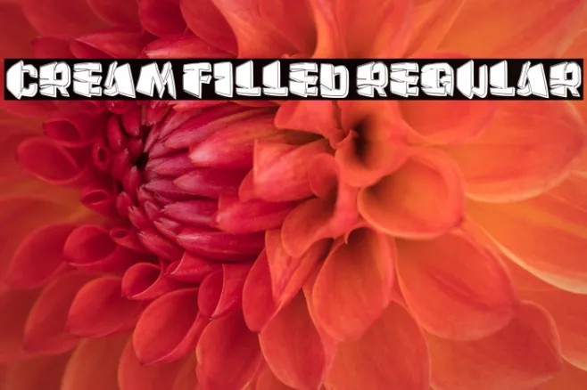 Cream Filled Regular Example 3