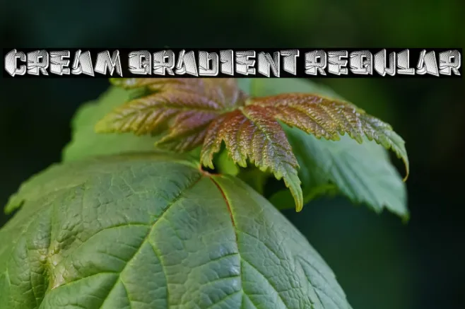 Cream Gradient Regular Example 1