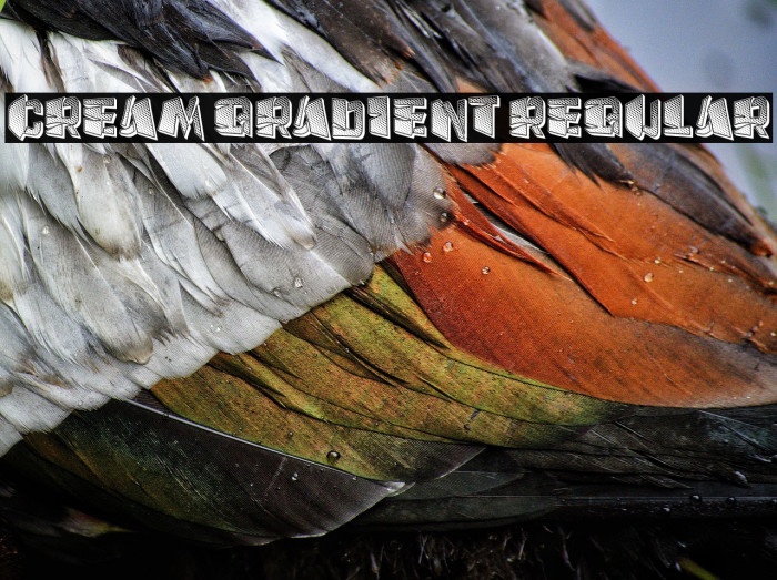 Cream Gradient Regular Example 2