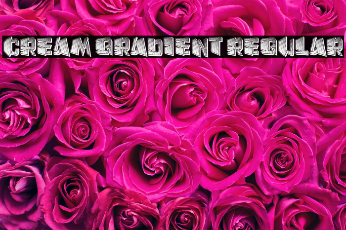 Cream Gradient Regular Example 3