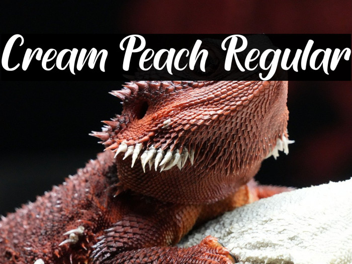 Cream Peach Regular Example 2