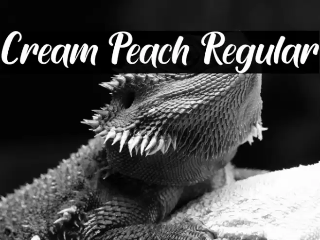 Cream Peach Regular Font examples