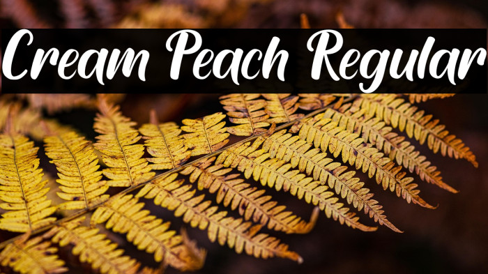 Cream Peach Regular Example 3