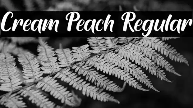 Cream Peach Regular Font examples