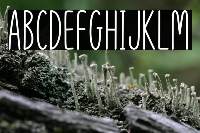 Cream Peach Example 3