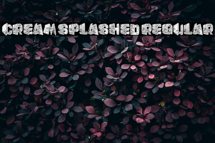 Cream Splashed Regular Example 1