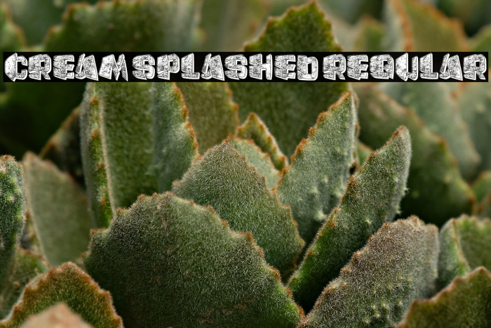 Cream Splashed Regular Example 3