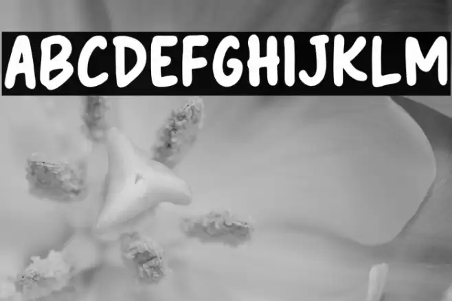 Cream Yoghurt Font examples