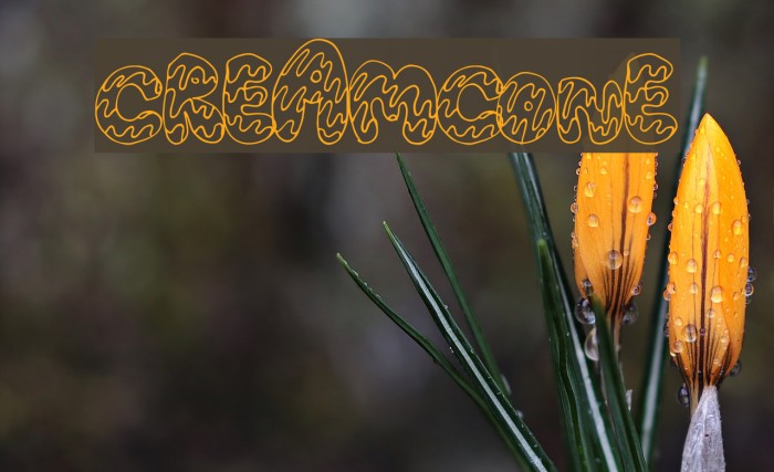 CreamCone Schriftart examples