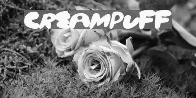 CreamPuff Font examples