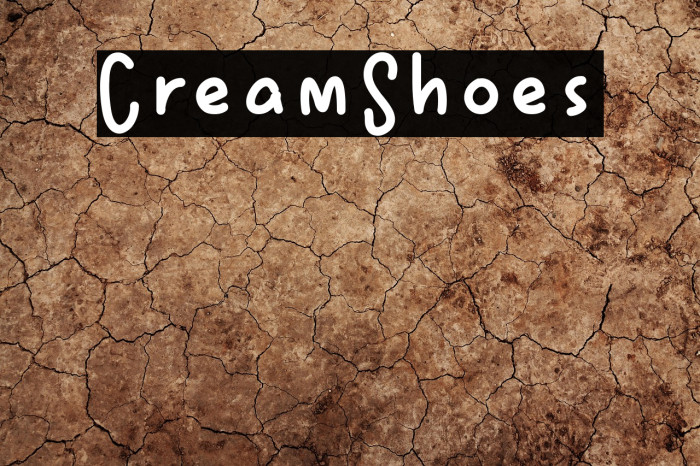 CreamShoes Example 1