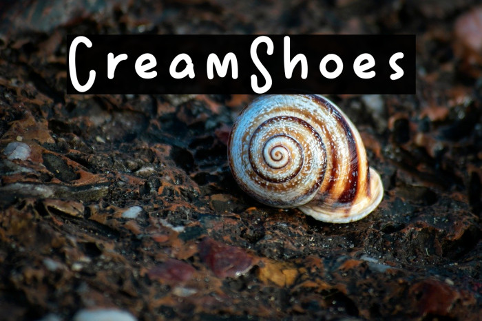 CreamShoes Example 3