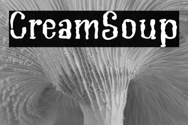 CreamSoup Font examples