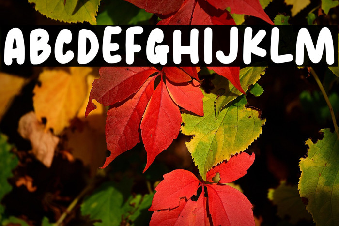 Creamer Soda Example 2