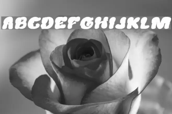 Creamy Butter Bold Italic Font examples