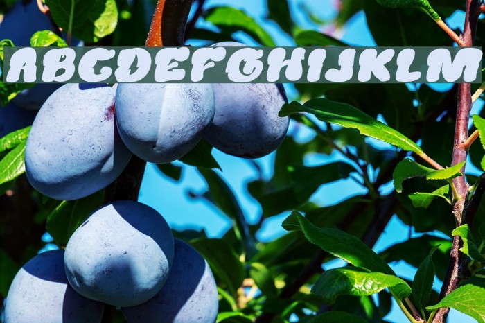 Creamy Butter Bold Italic Example 2