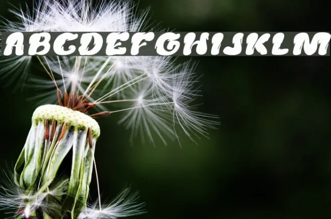 Creamy Butter Italic Example 1