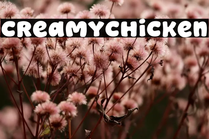 Creamy Chicken Example 1