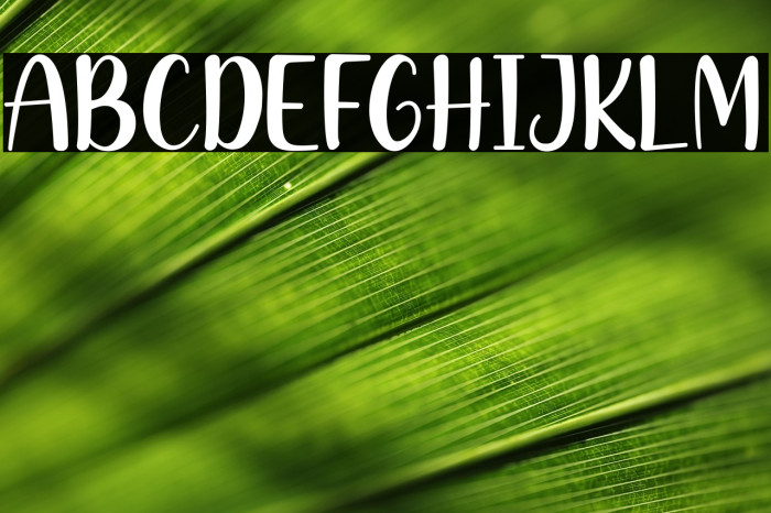 Creamy Chocolate Example 2