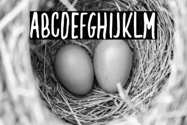 Creamy Coconut Font examples