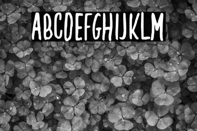 Creamy Coconut Font examples