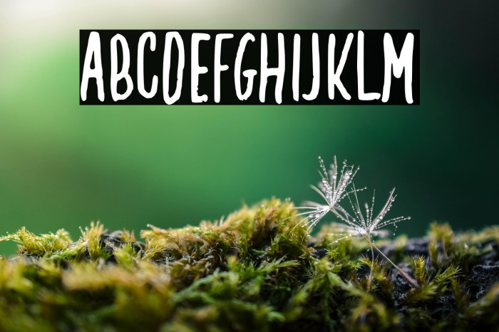 Creamy Coconut Example 3