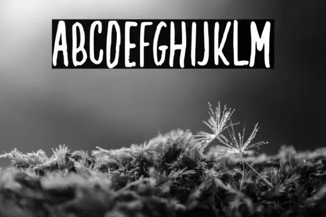 Creamy Coconut Font examples