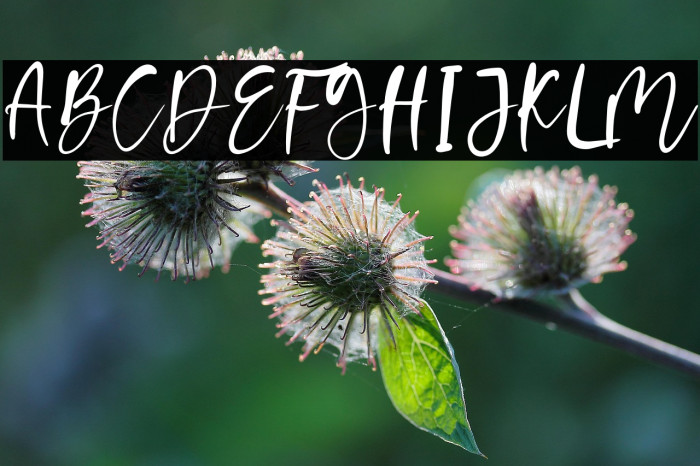 Creamy Corn Example 1