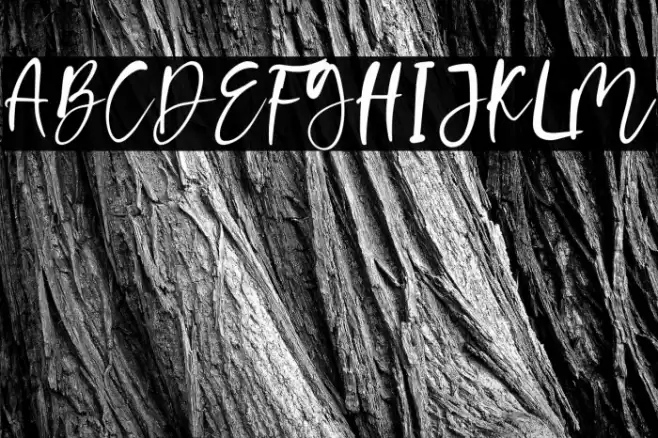 Creamy Corn Font examples