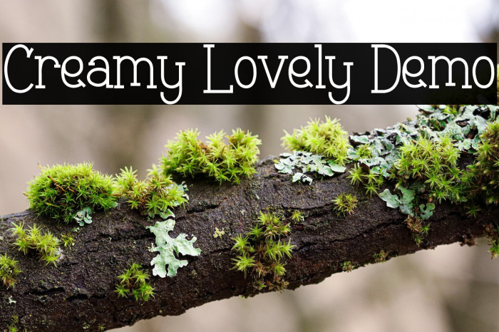 Creamy Lovely Demo Example 3