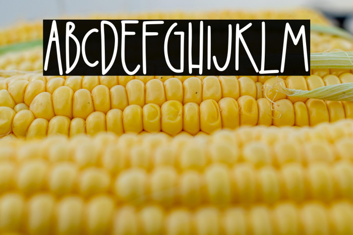 Creamy Mozarella Example 3