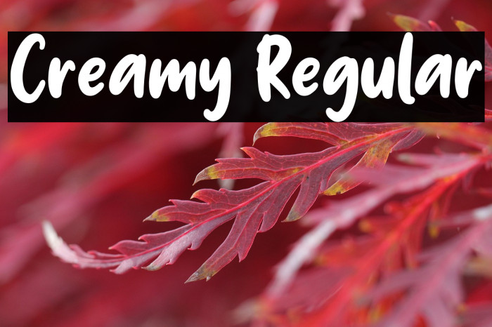 Creamy Regular Example 3