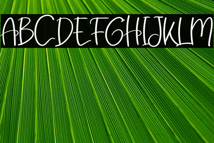 Create Dream Example 2