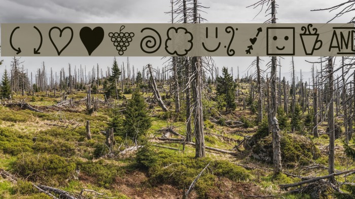 CreateDoodles Font examples