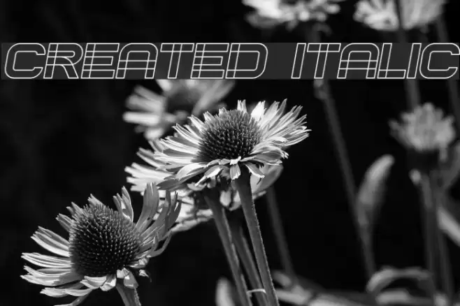 Created Italic Polices examples