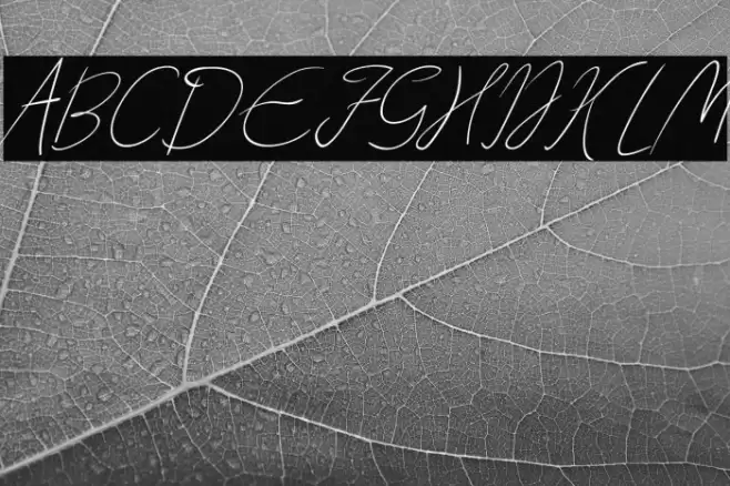 Creates Font examples