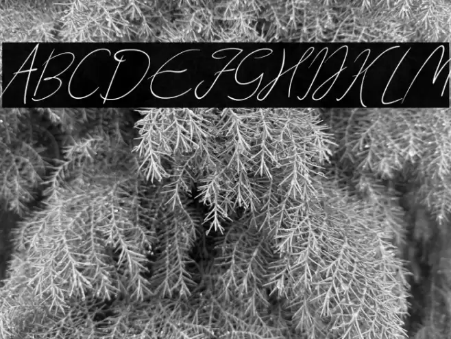 Creates Font examples