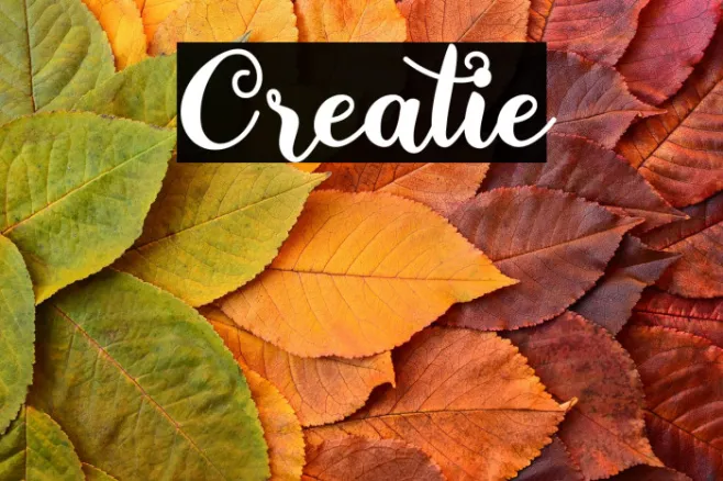 Creatie Example 1