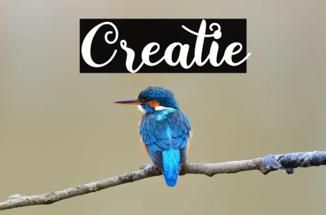 Creatie Example 2
