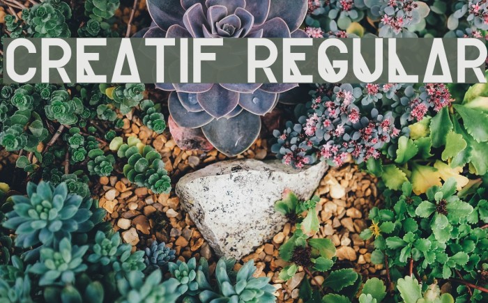 Creatif Regular Font examples