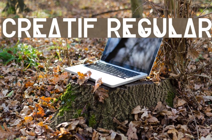 Creatif Regular Font examples