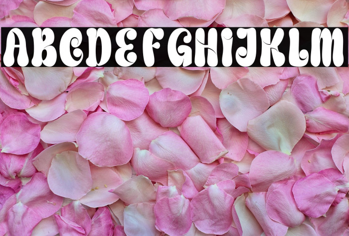 Creating Graphics Demo Regular Example 1