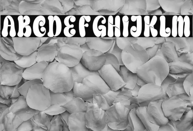 Creating Graphics Demo Regular Font examples