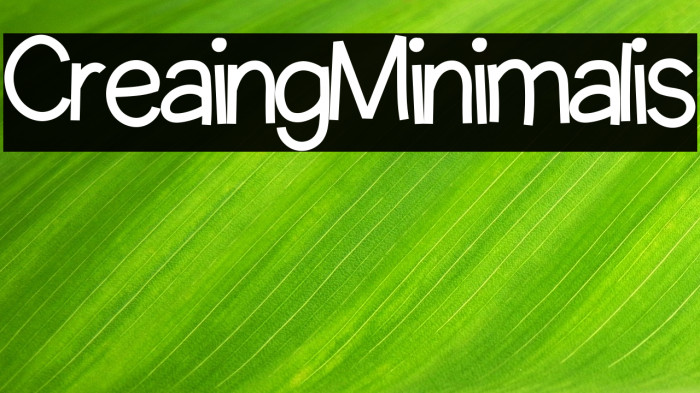 Creating Minimalist Example 2