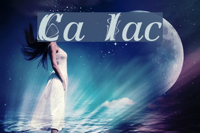 Creation Italic Font examples