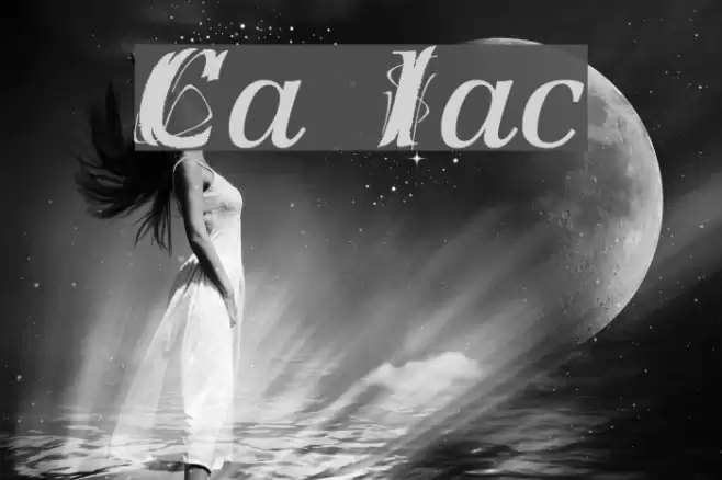 Creation Italic フォント examples