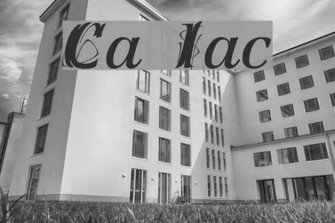 Creation Italic フォント examples