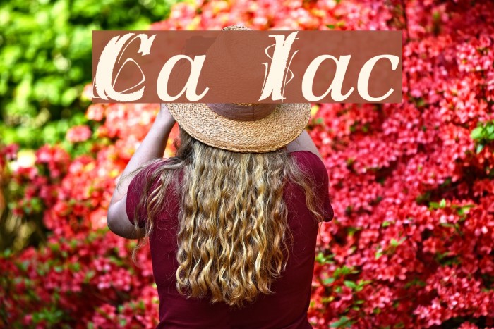 Creation Italic Font examples