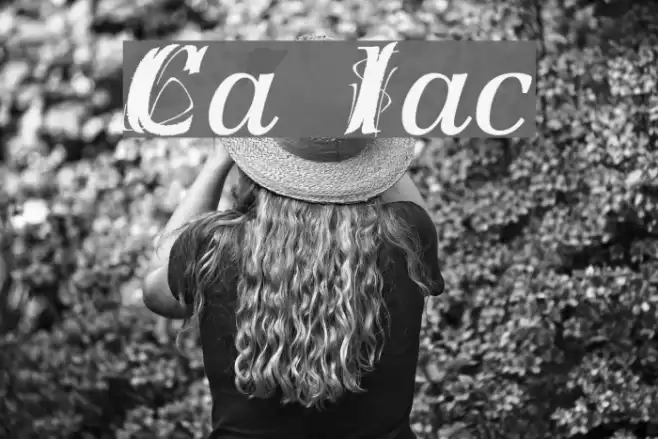 Creation Italic フォント examples