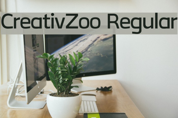 CreativZoo Regular Font examples